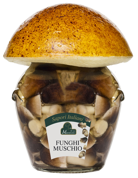 FUNGHI DI MUSCHIO IN OLIO D'OLIVA